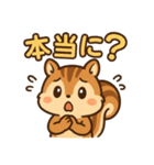 毎日使えるかわいいリススタンプ（個別スタンプ：31）