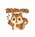 毎日使えるかわいいリススタンプ（個別スタンプ：38）
