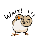 ラクガキンカ（個別スタンプ：1）