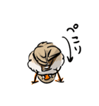 ラクガキンカ（個別スタンプ：6）