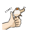 ラクガキンカ（個別スタンプ：9）