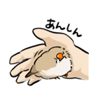 ラクガキンカ（個別スタンプ：12）