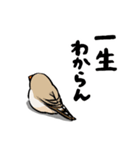 ラクガキンカ（個別スタンプ：15）