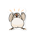 ラクガキンカ（個別スタンプ：39）
