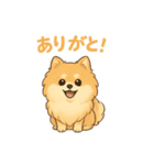 ぽめぽめ日和♪ポメラニアンの気持ち（個別スタンプ：1）