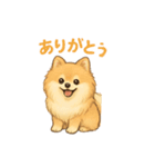 ぽめぽめ日和♪ポメラニアンの気持ち（個別スタンプ：2）