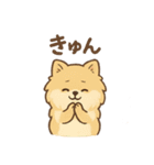 ぽめぽめ日和♪ポメラニアンの気持ち（個別スタンプ：4）