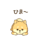 ぽめぽめ日和♪ポメラニアンの気持ち（個別スタンプ：11）
