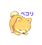 ぽめぽめ日和♪ポメラニアンの気持ち（個別スタンプ：12）