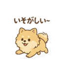 ぽめぽめ日和♪ポメラニアンの気持ち（個別スタンプ：13）