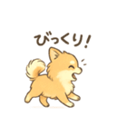 ぽめぽめ日和♪ポメラニアンの気持ち（個別スタンプ：14）