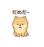 ぽめぽめ日和♪ポメラニアンの気持ち（個別スタンプ：15）