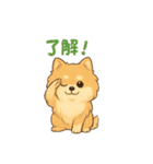 ぽめぽめ日和♪ポメラニアンの気持ち（個別スタンプ：16）