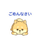 ぽめぽめ日和♪ポメラニアンの気持ち（個別スタンプ：19）