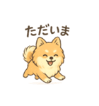 ぽめぽめ日和♪ポメラニアンの気持ち（個別スタンプ：22）