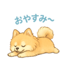 ぽめぽめ日和♪ポメラニアンの気持ち（個別スタンプ：29）