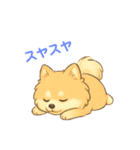 ぽめぽめ日和♪ポメラニアンの気持ち（個別スタンプ：30）
