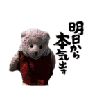 くまたちの日常 その9.1（個別スタンプ：2）