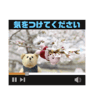くまたちの日常 その9.1（個別スタンプ：4）