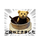 くまたちの日常 その9.1（個別スタンプ：15）