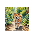 柴犬の日常3（個別スタンプ：12）