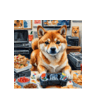 柴犬の日常3（個別スタンプ：28）
