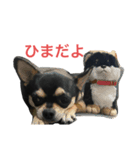 らあら2（個別スタンプ：2）