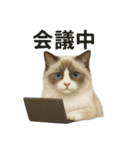 サラリーマンラグドールのお仕事スタンプ！（個別スタンプ：1）