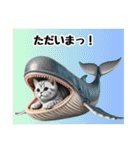 ひょっこり❤︎にゃん……………….（個別スタンプ：31）