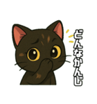 じゅな【さび猫のスタンプ】（個別スタンプ：13）