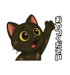 じゅな【さび猫のスタンプ】（個別スタンプ：23）