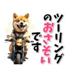 ツーリング♡バイク好き 豆柴 (春夏)（個別スタンプ：2）