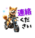 ツーリング♡バイク好き 豆柴 (春夏)（個別スタンプ：4）