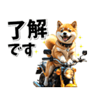 ツーリング♡バイク好き 豆柴 (春夏)（個別スタンプ：5）