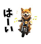 ツーリング♡バイク好き 豆柴 (春夏)（個別スタンプ：6）