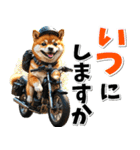ツーリング♡バイク好き 豆柴 (春夏)（個別スタンプ：9）