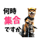 ツーリング♡バイク好き 豆柴 (春夏)（個別スタンプ：10）