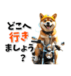 ツーリング♡バイク好き 豆柴 (春夏)（個別スタンプ：11）
