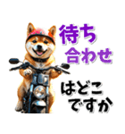 ツーリング♡バイク好き 豆柴 (春夏)（個別スタンプ：12）