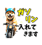 ツーリング♡バイク好き 豆柴 (春夏)（個別スタンプ：15）