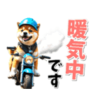 ツーリング♡バイク好き 豆柴 (春夏)（個別スタンプ：17）