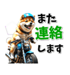 ツーリング♡バイク好き 豆柴 (春夏)（個別スタンプ：19）