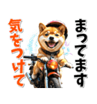 ツーリング♡バイク好き 豆柴 (春夏)（個別スタンプ：20）