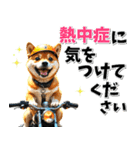 ツーリング♡バイク好き 豆柴 (春夏)（個別スタンプ：21）