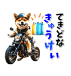 ツーリング♡バイク好き 豆柴 (春夏)（個別スタンプ：22）