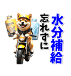 ツーリング♡バイク好き 豆柴 (春夏)（個別スタンプ：23）