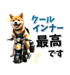 ツーリング♡バイク好き 豆柴 (春夏)（個別スタンプ：25）