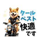 ツーリング♡バイク好き 豆柴 (春夏)（個別スタンプ：26）
