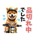 ツーリング♡バイク好き 豆柴 (春夏)（個別スタンプ：28）