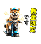 ツーリング♡バイク好き 豆柴 (春夏)（個別スタンプ：30）